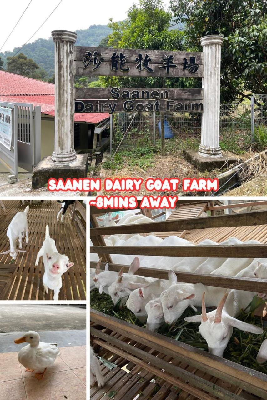 Pangsapuri Nyaman Sweet Balik Pulau